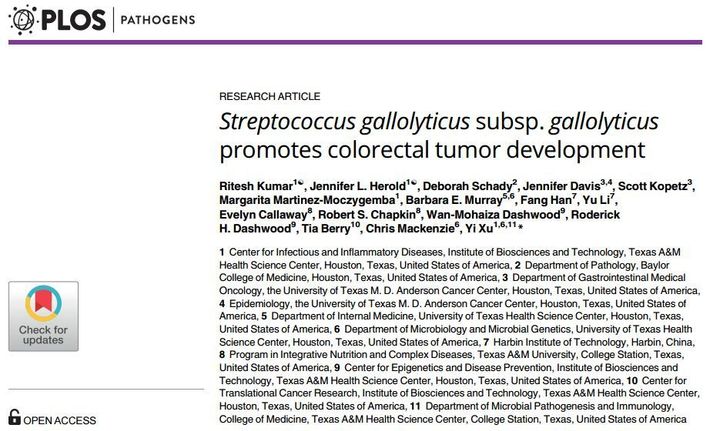 Streptococcus gallolyticus subsp. gallolyticus promotes colorectal tumor development 