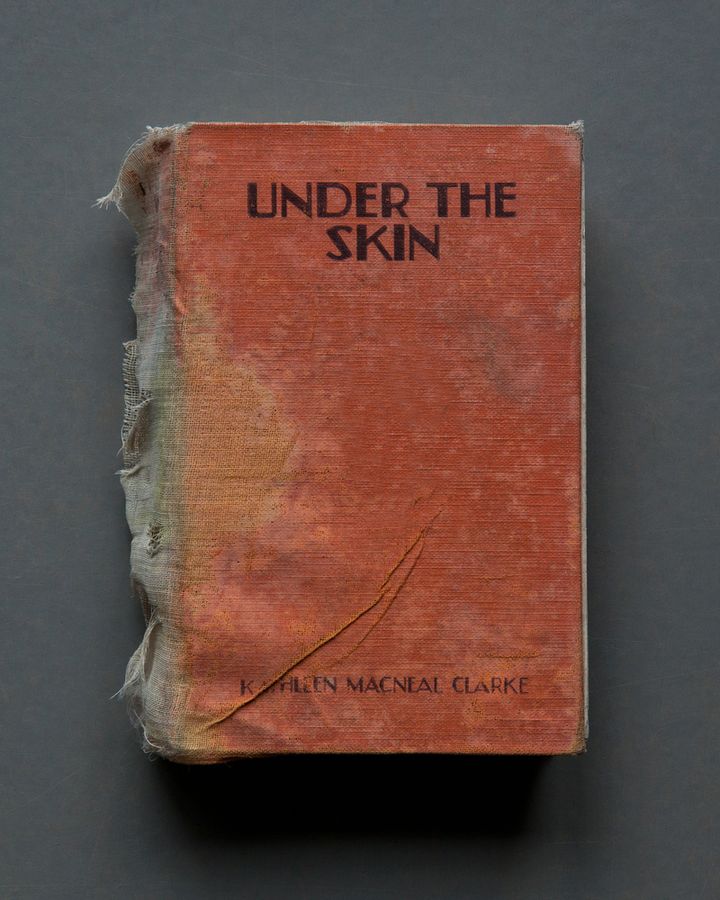 Under The Skin, 2017
