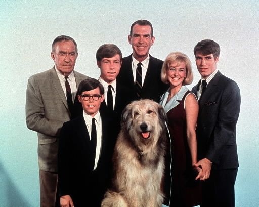 My Three Sons, an American situation comedy. The series ran from 1960-1972 and was a huge hit. 
