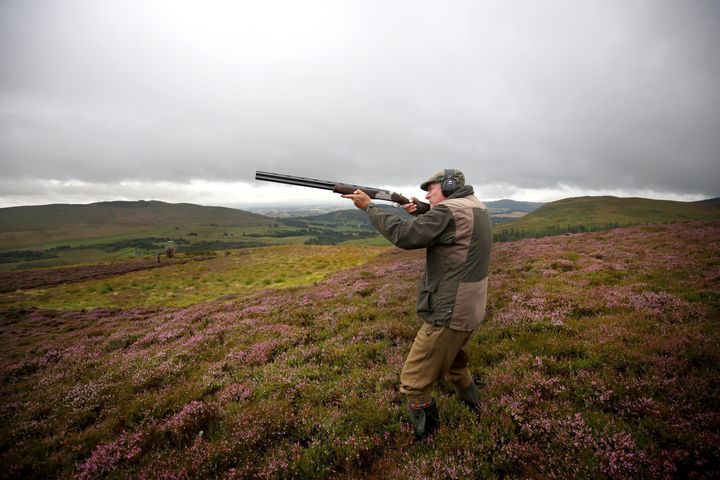 Celebrity chef Nick Nairn joins a shooting party on the Glorious Twelfth, for the start of the grouse shooting season