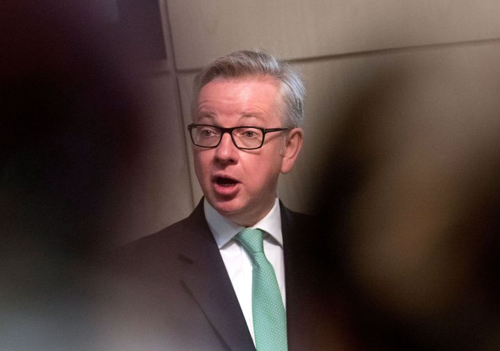 Environment Secretary Michael Gove says 80% of his department's work is linked to Brexit 