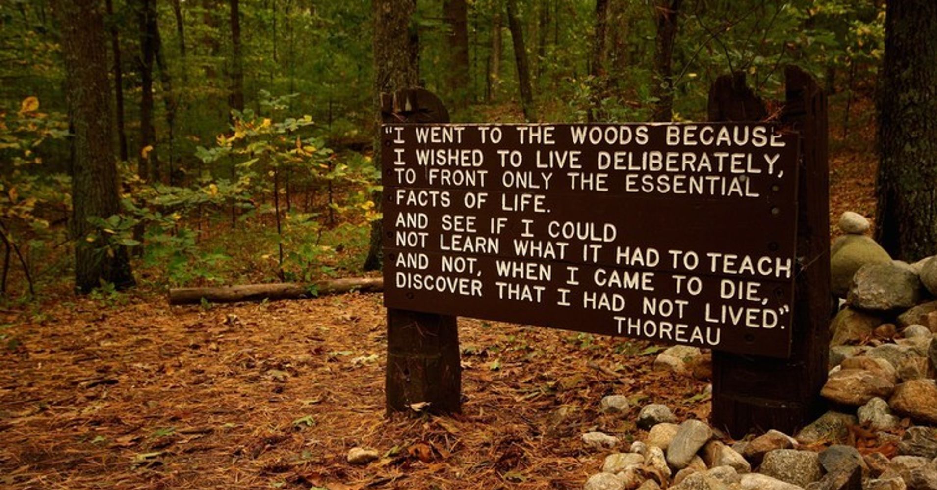 henry-david-thoreau-s-views-of-19th-century-media-resonate-today-huffpost