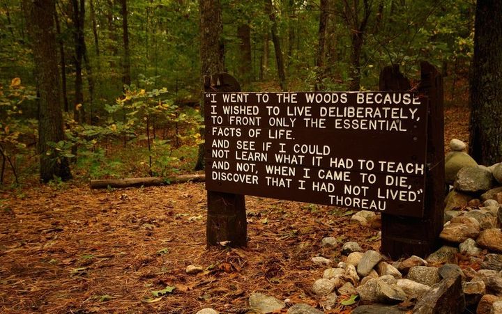 Thoreau was concerned primarily with the ‘essential facts of life.’ eflon, CC BY 