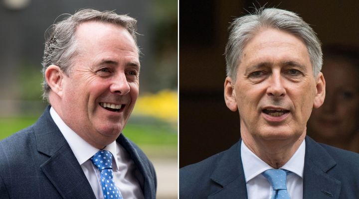 Liam Fox and Philip Hammond have said the UK will be out of the customs union after March 2019