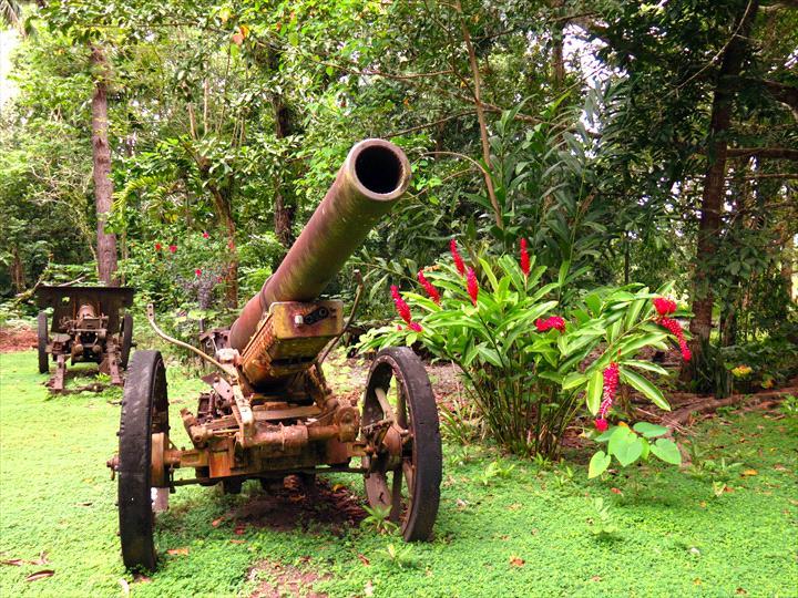 <p>Guided tours visit WWII battle sites</p>
