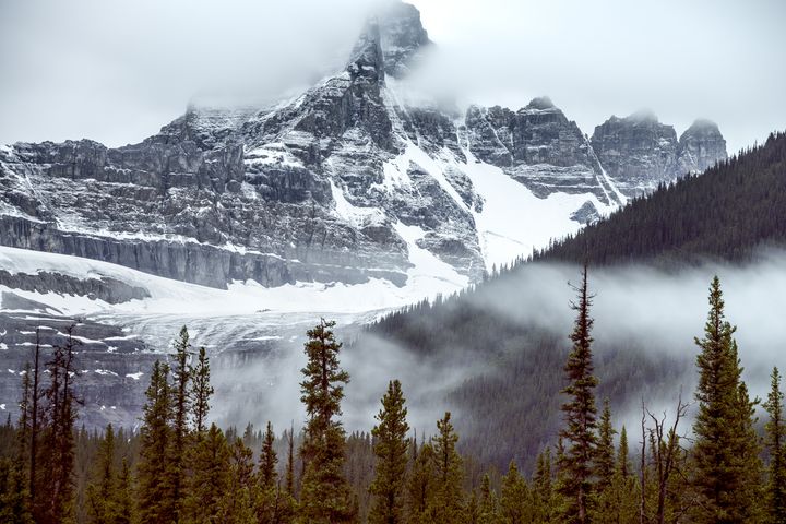 <p>Fog rolling through the Valley along the Icefields Parkway. This is Mushroom Peak. </p>