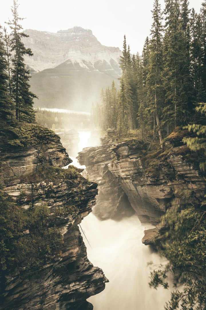 <p>Athabasca Falls - the gift that keeps on giving. </p>
