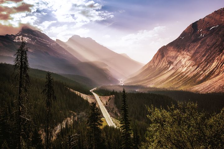 <p>Beautiful morning light pouring into the Valley below the ‘Big Hill’ on the Icefields Parkway. </p>