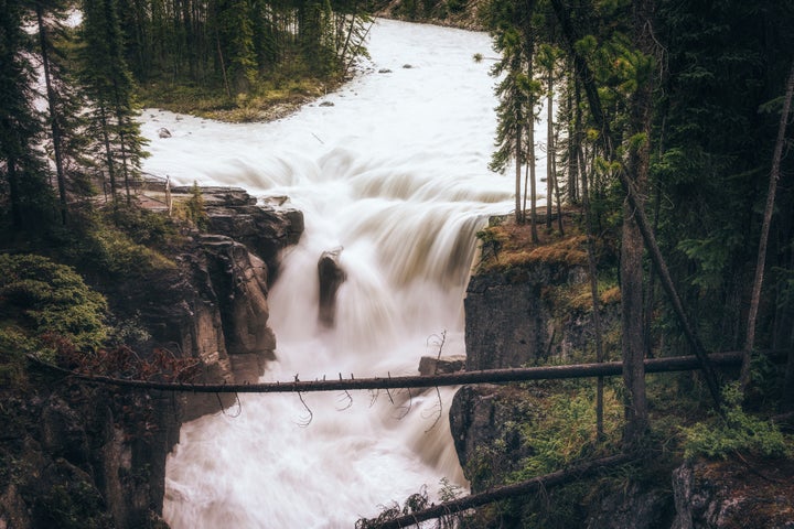 <p>Sunwapta Falls gushing into the canyon below. Spectacular. </p>