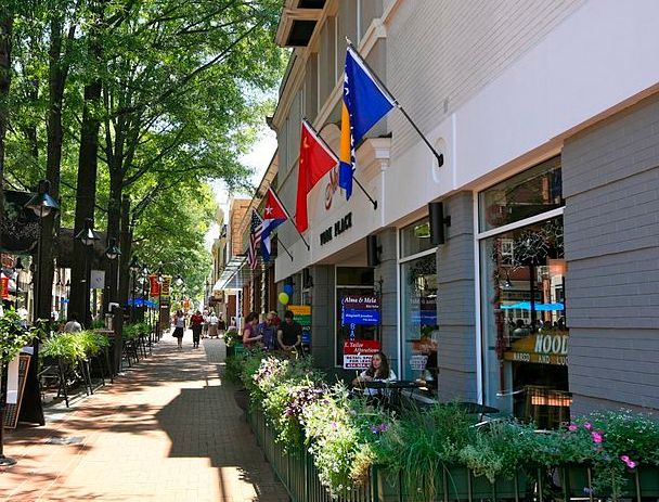 Downtown Charlottesville will soon look like this again: busy, green, thriving. But as we return to normalcy, we must remember that the hatred felt so violently this weekend is, in many ways, normal — we are responsible for defining a new and better Charlottesville and a new and better America.