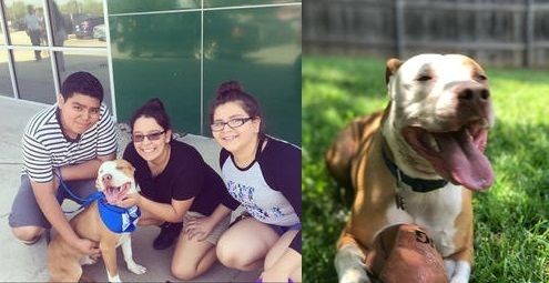 Family from Dallas, Texas adopted their dog "Cruz" during “Clear the Shelters” 2016.