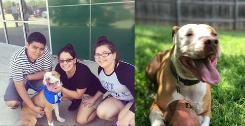 <em>Family from Dallas, Texas adopted their dog "Cruz" during </em>“<em>Clear the Shelters</em>”<em> 2016.</em>