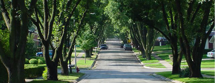 The economic, social and environmental benefits of urban forestry are almost too numerous to count. One of them is to take carbon dioxide out of the air. Another is to reduce cooling costs and related electric generation. Urban forestry is one of many ways that American cities can help the nation contribute to the success of the Paris climaate accord.