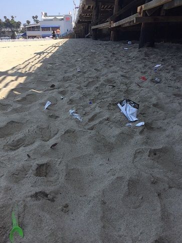 <p>Plastic and rubbish buried in the sand</p>