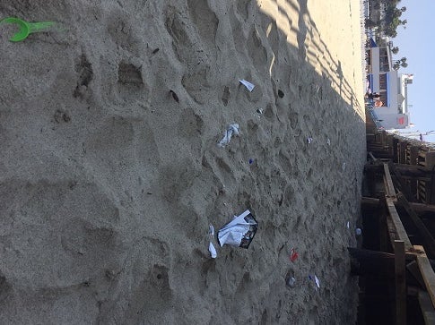 <p>Plastic and rubbish buried in the sand</p>