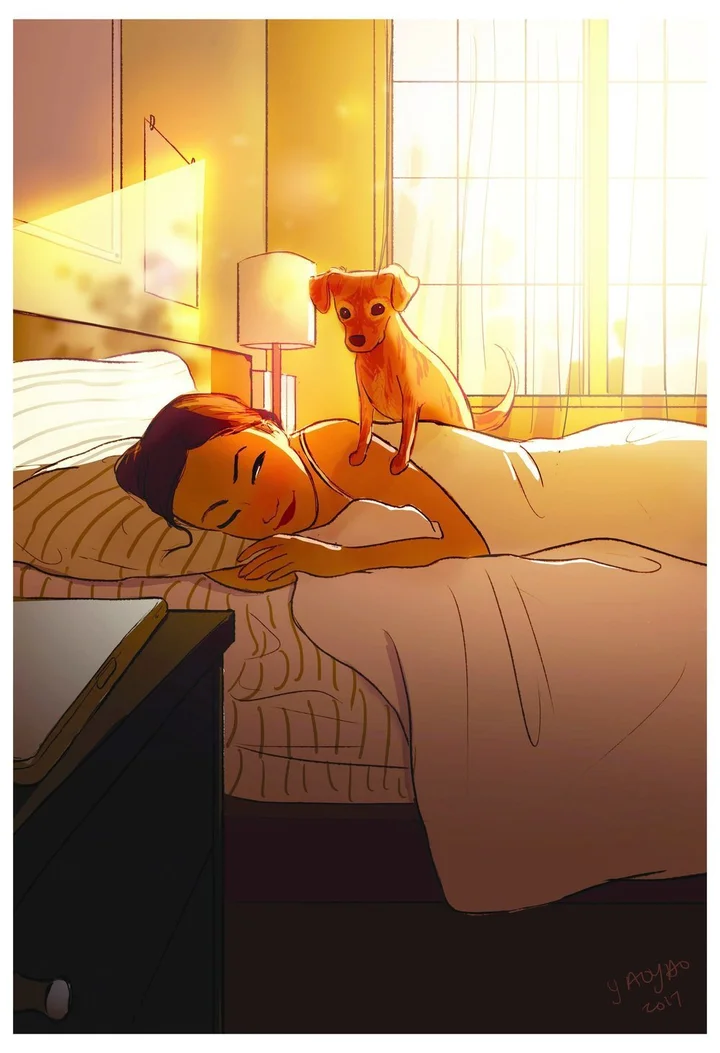 Artist Perfectly Captures The Intimate Magic Of Living Alone | HuffPost Life