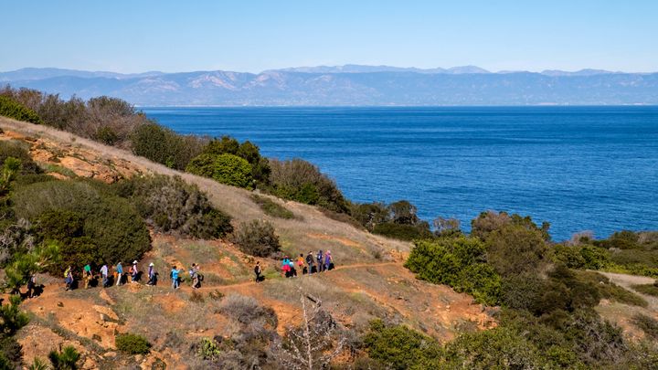 The 4-mile Pelican Bay hike can be explored only by travelers aboard the Island Packers ferry. That's your ticket into the coastal property of The Nature Conservancy. (Guided by Island Packers staff)