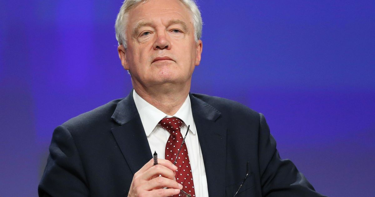 David Davis Says Temporary Customs Union With EU Could Last For Two ...