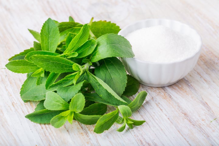 This is what the leaves of a stevia plant look like.