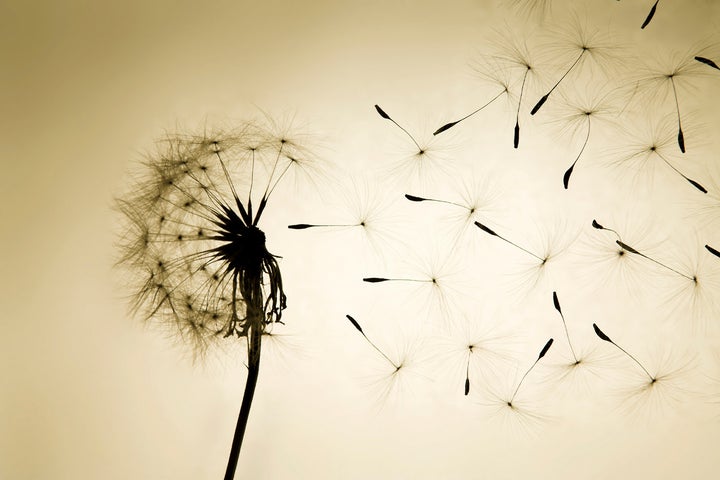 <p>Hope goes a long way</p>