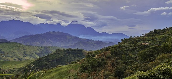 <p>The jungles of Colombia | © Pedro Szekely/Flickr</p>