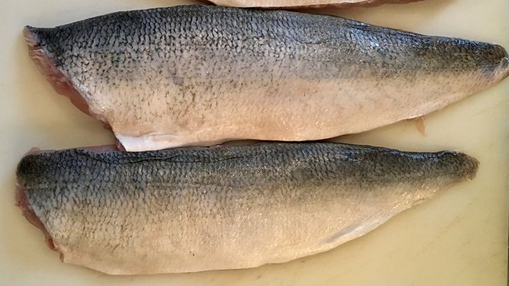 Lovely bluefish from Long Island waters. You could use sardines or mackerel