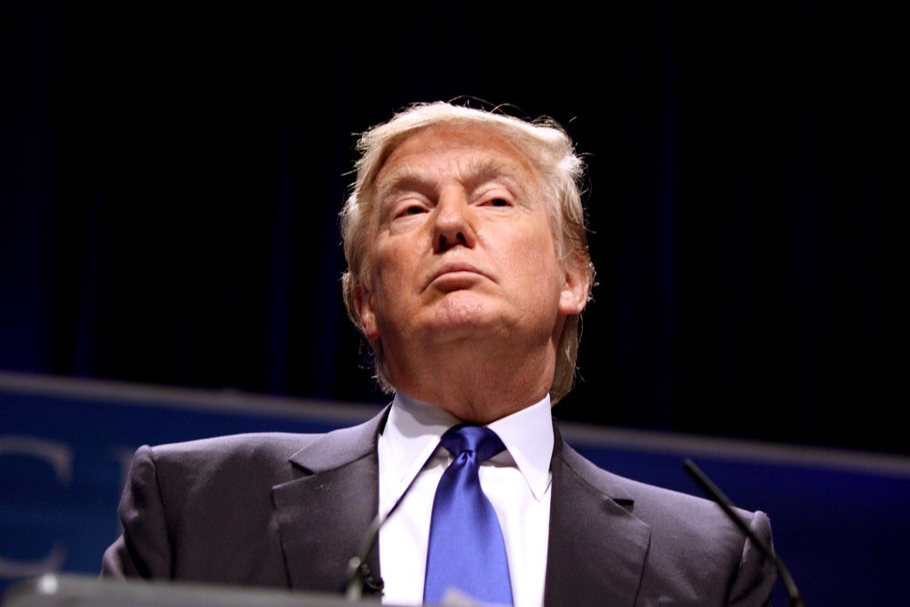 Donald Trump drops plan to create infrastructure council: White House
