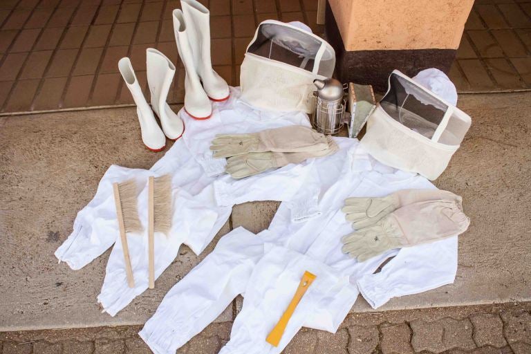 <em>Beekeeping protective gear and tools.</em>