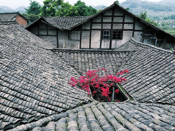 Mt. Emei, Sichuan, China