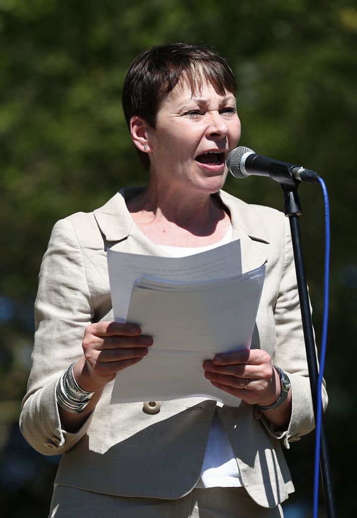 Green co-leader Caroline Lucas has been the UK's most high-profile campaigner for electoral reform