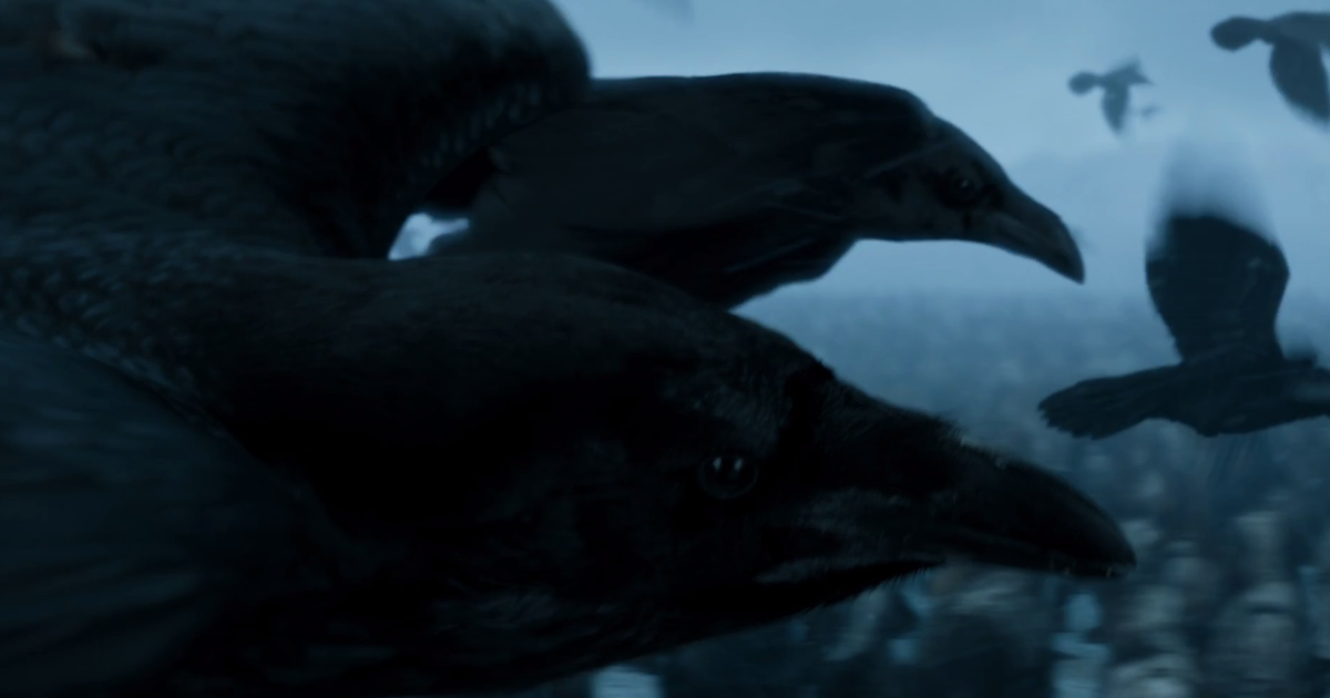 Everyone's 'Raven' About A Ridiculous 'Game Of Thrones' Plot Hole ...