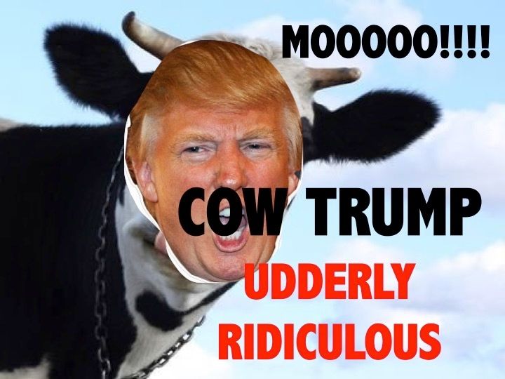 Udderly Ridiculous