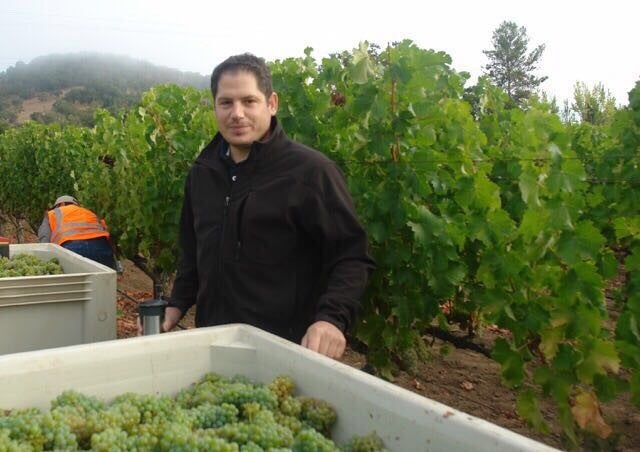 Maayan Koschitzky in Atelier Phillipe Melka Napa Valley vineyards for harvest