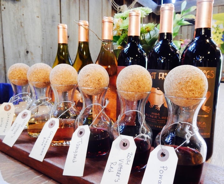 <p>Wine Tasting Great Frogs Winery MD</p>