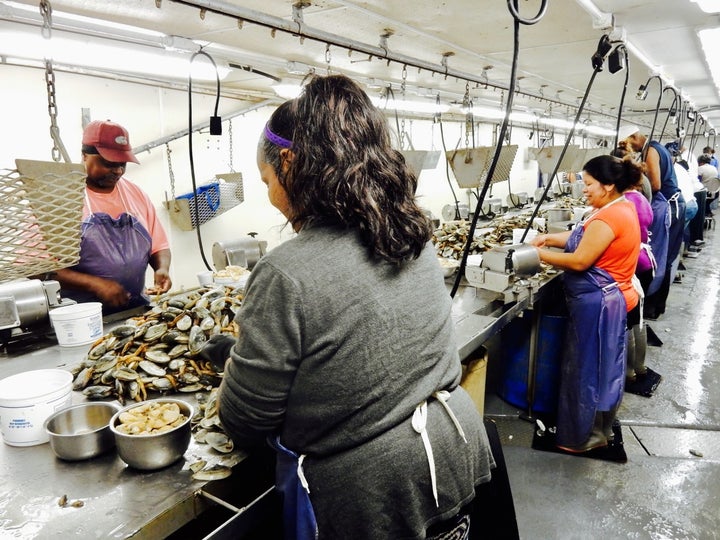 <p>Clam shuckers, Harris Seafood MD</p>