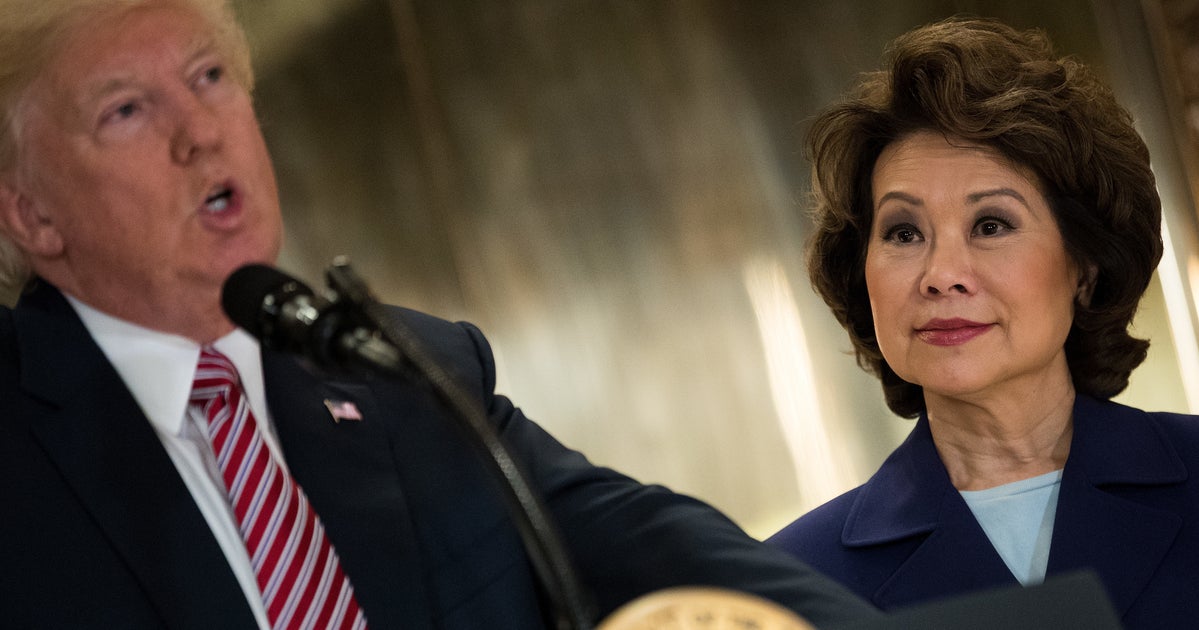 Asian-American Groups Want Elaine Chao To Start Supporting POC Or ...