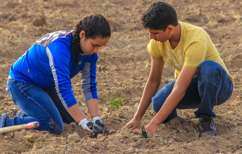 Forest Restoration on the Rio Grande
