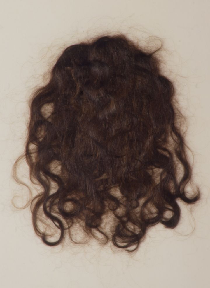 <p>Sally Curcio, <em>Portrait</em> (1996), hair on vellum, 25 x 21 inches</p>