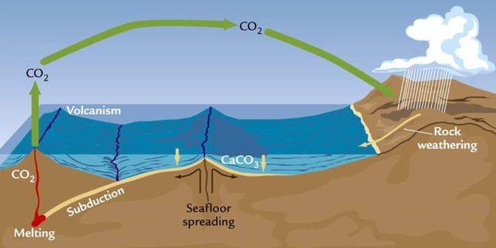 <p>Weathering removes CO2 from the atmosphere and delivers it to the ocean, where it combines with calcium to form limestone. Limestone is drawn under the Earth’s crust by the movement of tectonic plates. CO2 is then separated from limestone and ejected into the atmosphere through volcanic eruptions.</p>