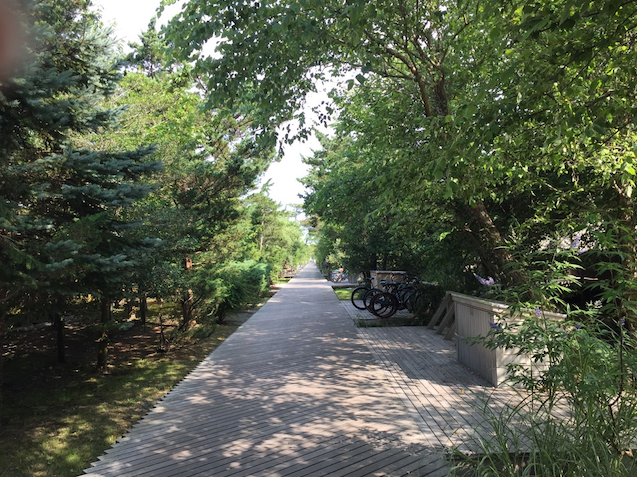 <p>The boardwalk at midday</p>