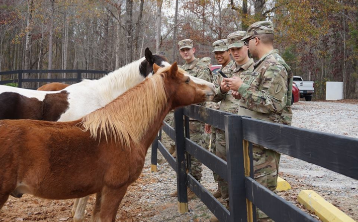 At the Warrior Outreach ranch. 