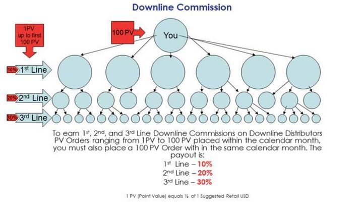 Explanation of downline commissions on the Lipsense website. 