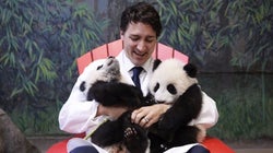 Justin Trudeau's Panda Cuddle Recreated In Butter Will Melt Your Heart (If It Doesn't Melt