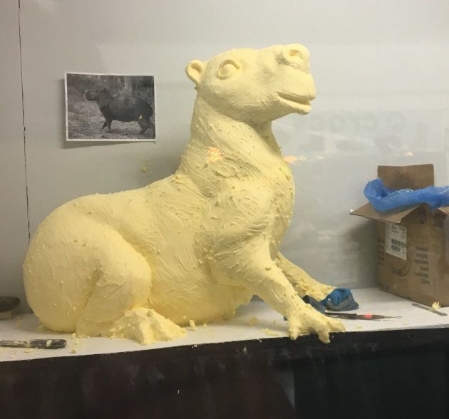 A capybara butter sculpture at the CNE