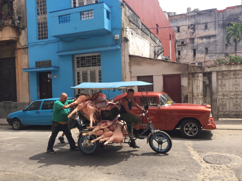 Pigs pushed to market outside La Guarida restaurant.