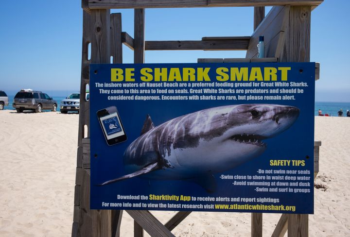 A sign warning of sharks is fastened to a guard stand in East Orleans, on Cape Cod, Massachusetts, on July 16.