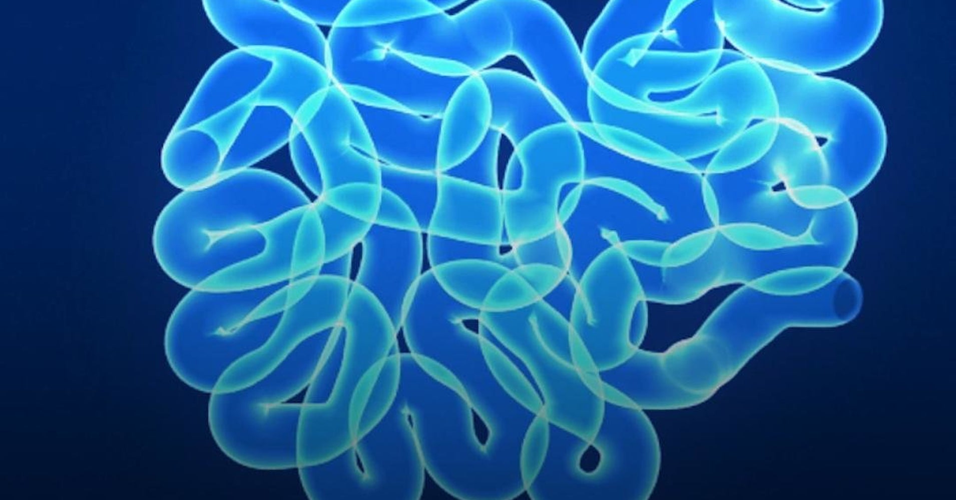 Poop Probiotics HuffPost