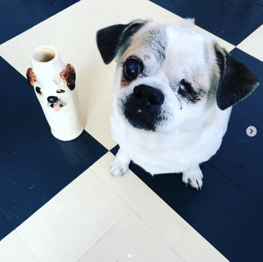 <strong><em>Katie Kimmel making custom vases for cute weirdos like Sam Cookies </em></strong>