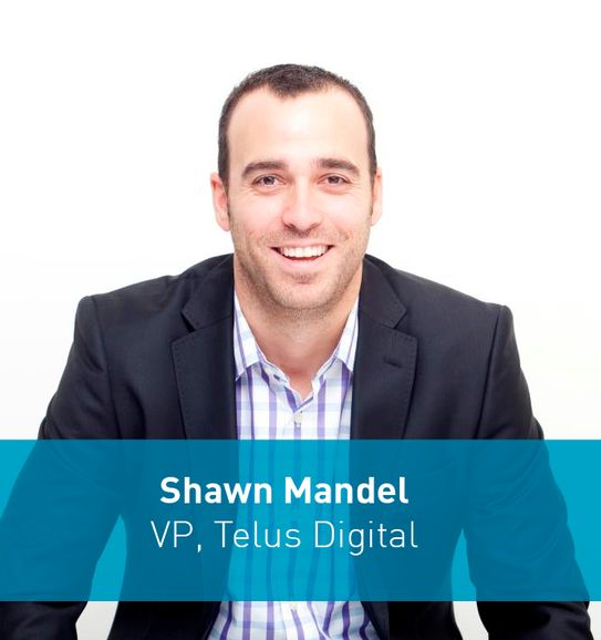 <p> Shawn Mandel, Chief Digital Officer, Telus Digital </p>