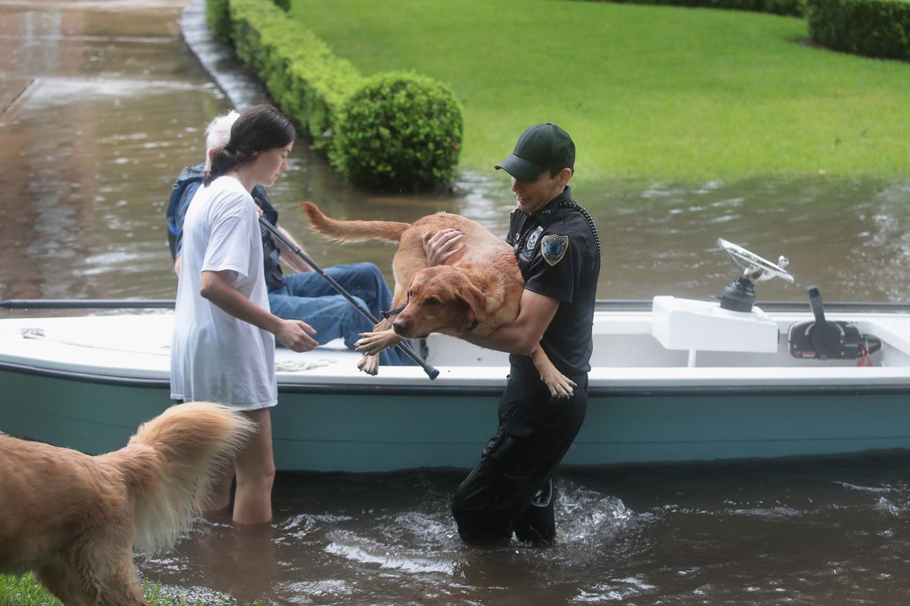 Volunteers and officers from the neighborhood security patrol help to rescue residents and their dogs in River Oaks on Sunday.